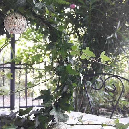 Maison Du Rose * 브렌돌라